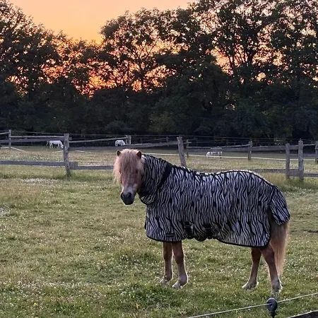 Amelia- Idylle Pur Mit Kamin Prázdninový dům Schenefeld (Pinneberg)