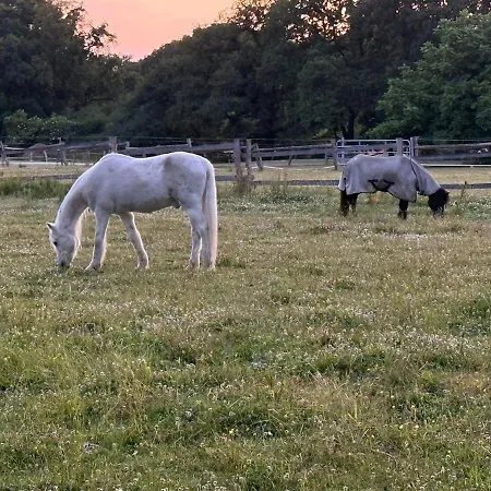 Prázdninový dům Amelia- Idylle Pur Mit Kamin
